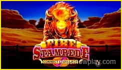 Fire Stampede