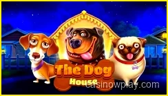 The Dog House